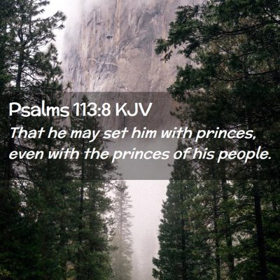 Picture 02 - Psalms 113:8 KJV - That he may set him with princes, even with the - Bible Verse Picture