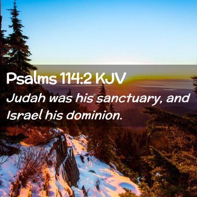 Picture 02 - Psalms 114:2 KJV - Judah was his sanctuary, and Israel his - Bible Verse Picture