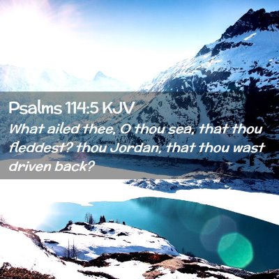 Picture 02 - Psalms 114:5 KJV - What ailed thee, O thou sea, that thou fleddest? - Bible Verse Picture