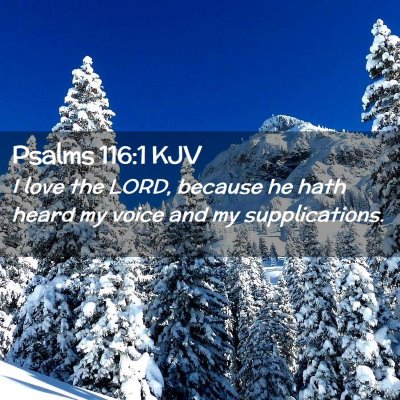 Picture 02 - Psalms 116:1 KJV - I love the LORD, because he hath heard my voice - Bible Verse Picture