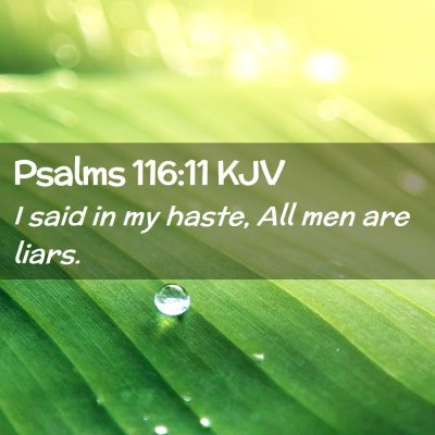 Picture 02 - Psalms 116:11 KJV - I said in my haste, All men are - Bible Verse Picture