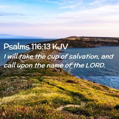 Picture 02 - Psalms 116:13 KJV - I will take the cup of salvation, and call upon - Bible Verse Picture