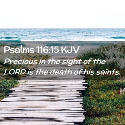 Picture 02 - Psalms 116:15 KJV - Precious in the sight of the LORD is the death of - Bible Verse Picture