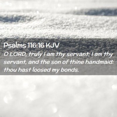 Picture 02 - Psalms 116:16 KJV - O LORD, truly I am thy servant; I am thy servant, - Bible Verse Picture