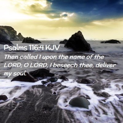 Picture 02 - Psalms 116:4 KJV - Then called I upon the name of the LORD; O LORD, - Bible Verse Picture