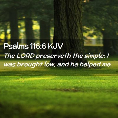 Picture 02 - Psalms 116:6 KJV - The LORD preserveth the simple: I was brought - Bible Verse Picture