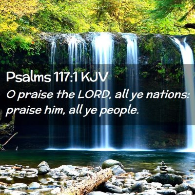 Picture 02 - Psalms 117:1 KJV - O praise the LORD, all ye nations: praise him, - Bible Verse Picture