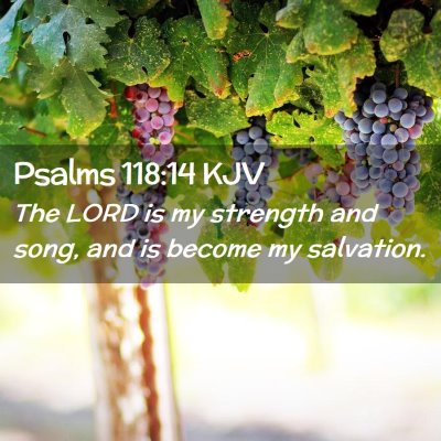 Picture 02 - Psalms 118:14 KJV - The LORD is my strength and song, and is become - Bible Verse Picture