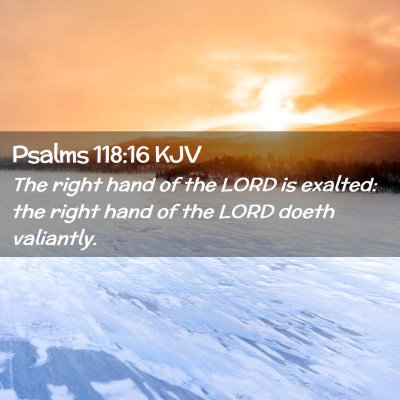 Picture 02 - Psalms 118:16 KJV - The right hand of the LORD is exalted: the right - Bible Verse Picture