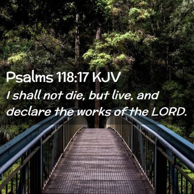 Picture 02 - Psalms 118:17 KJV - I shall not die, but live, and declare the works - Bible Verse Picture
