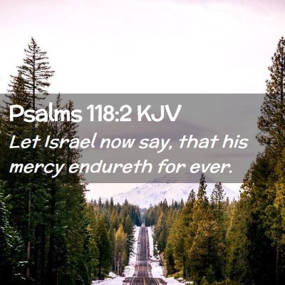 Picture 02 - Psalms 118:2 KJV - Let Israel now say, that his mercy endureth for - Bible Verse Picture