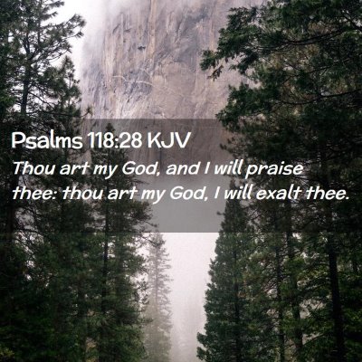 Picture 02 - Psalms 118:28 KJV - Thou art my God, and I will praise thee: thou art - Bible Verse Picture