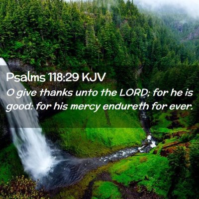 Picture 02 - Psalms 118:29 KJV - O give thanks unto the LORD; for he is good: for - Bible Verse Picture