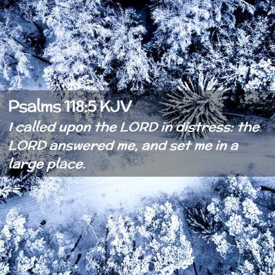 Picture 02 - Psalms 118:5 KJV - I called upon the LORD in distress: the LORD - Bible Verse Picture