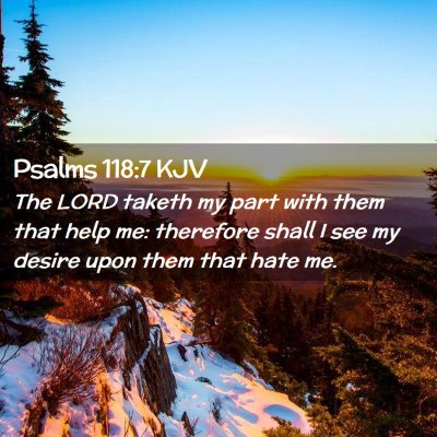 Picture 02 - Psalms 118:7 KJV - The LORD taketh my part with them that help me: - Bible Verse Picture