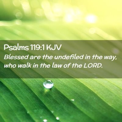 Picture 02 - Psalms 119:1 KJV - Blessed are the undefiled in the way, who walk in - Bible Verse Picture