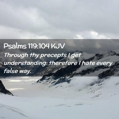 Picture 02 - Psalms 119:104 KJV - Through thy precepts I get understanding: - Bible Verse Picture