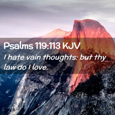 Picture 02 - Psalms 119:113 KJV - I hate vain thoughts: but thy law do I - Bible Verse Picture