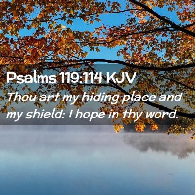 Picture 02 - Psalms 119:114 KJV - Thou art my hiding place and my shield: I hope in - Bible Verse Picture