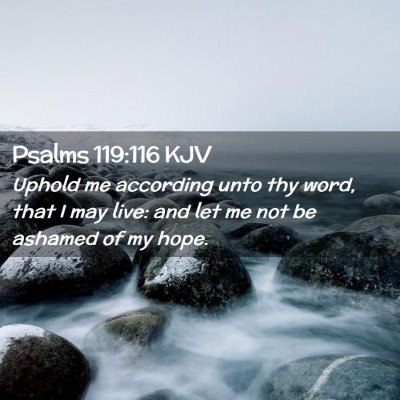 Picture 02 - Psalms 119:116 KJV - Uphold me according unto thy word, that I may - Bible Verse Picture