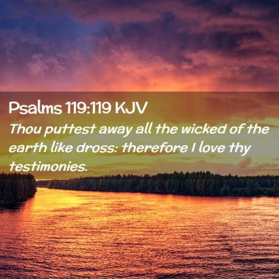 Picture 02 - Psalms 119:119 KJV - Thou puttest away all the wicked of the earth - Bible Verse Picture