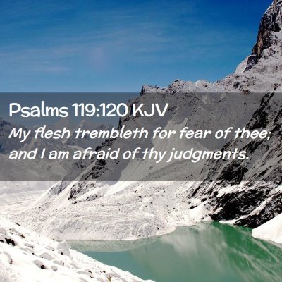 Picture 02 - Psalms 119:120 KJV - My flesh trembleth for fear of thee; and I am - Bible Verse Picture