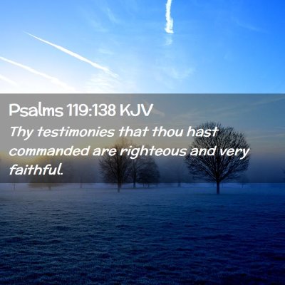 Picture 02 - Psalms 119:138 KJV - Thy testimonies that thou hast commanded are - Bible Verse Picture