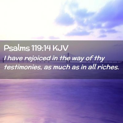 Picture 02 - Psalms 119:14 KJV - I have rejoiced in the way of thy testimonies, as - Bible Verse Picture