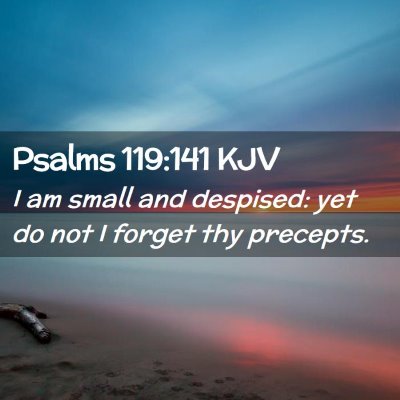 Picture 02 - Psalms 119:141 KJV - I am small and despised: yet do not I forget thy - Bible Verse Picture