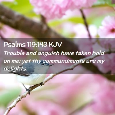 Picture 02 - Psalms 119:143 KJV - Trouble and anguish have taken hold on me: yet - Bible Verse Picture