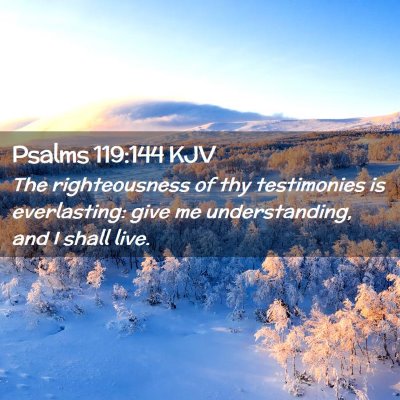 Picture 02 - Psalms 119:144 KJV - The righteousness of thy testimonies is - Bible Verse Picture