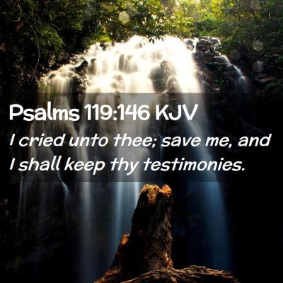 Picture 02 - Psalms 119:146 KJV - I cried unto thee; save me, and I shall keep thy - Bible Verse Picture
