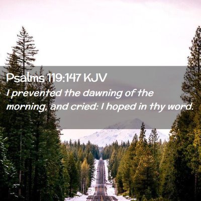 Picture 02 - Psalms 119:147 KJV - I prevented the dawning of the morning, and - Bible Verse Picture