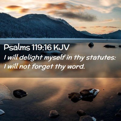 Picture 02 - Psalms 119:16 KJV - I will delight myself in thy statutes: I will not - Bible Verse Picture