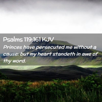 Picture 02 - Psalms 119:161 KJV - Princes have persecuted me without a cause: but - Bible Verse Picture