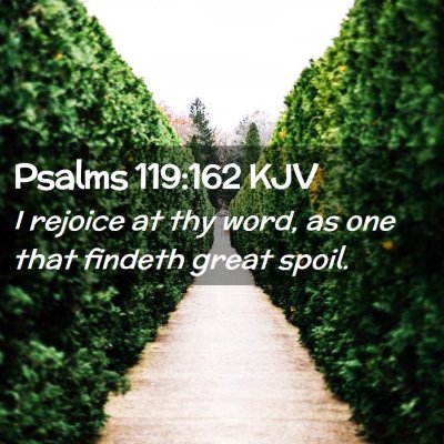 Picture 02 - Psalms 119:162 KJV - I rejoice at thy word, as one that findeth great - Bible Verse Picture