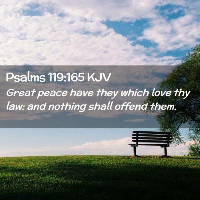 Picture 02 - Psalms 119:165 KJV - Great peace have they which love thy law: and - Bible Verse Picture