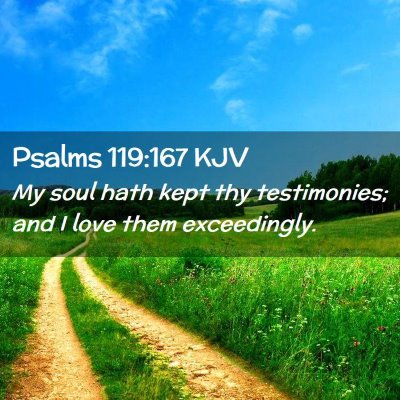 Picture 02 - Psalms 119:167 KJV - My soul hath kept thy testimonies; and I love - Bible Verse Picture