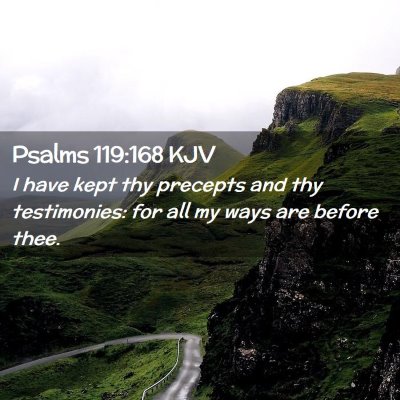 Picture 02 - Psalms 119:168 KJV - I have kept thy precepts and thy testimonies: for - Bible Verse Picture