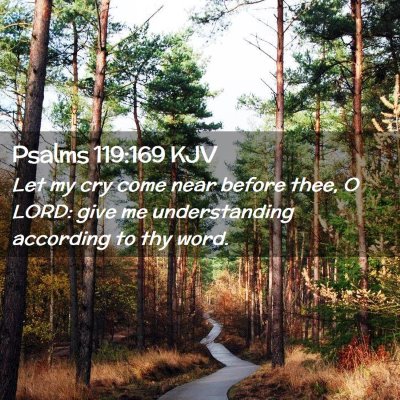 Picture 02 - Psalms 119:169 KJV - Let my cry come near before thee, O LORD: give me - Bible Verse Picture