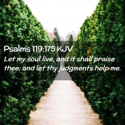 Picture 02 - Psalms 119:175 KJV - Let my soul live, and it shall praise thee; and - Bible Verse Picture