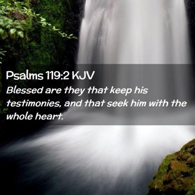 Picture 02 - Psalms 119:2 KJV - Blessed are they that keep his testimonies, and - Bible Verse Picture