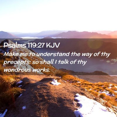 Picture 02 - Psalms 119:27 KJV - Make me to understand the way of thy precepts: so - Bible Verse Picture