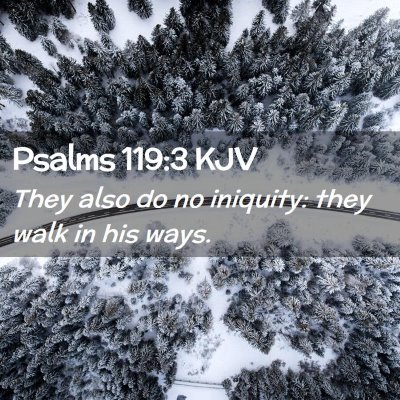 Picture 02 - Psalms 119:3 KJV - They also do no iniquity: they walk in his - Bible Verse Picture