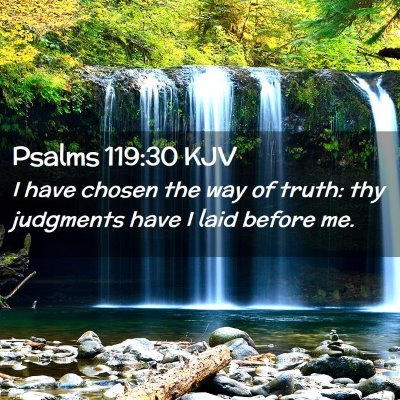 Picture 02 - Psalms 119:30 KJV - I have chosen the way of truth: thy judgments - Bible Verse Picture