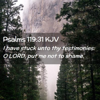 Picture 02 - Psalms 119:31 KJV - I have stuck unto thy testimonies: O LORD, put me - Bible Verse Picture