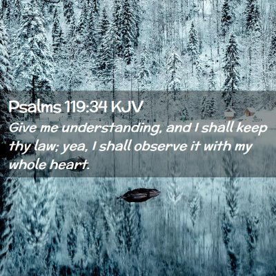 Picture 02 - Psalms 119:34 KJV - Give me understanding, and I shall keep thy law; - Bible Verse Picture