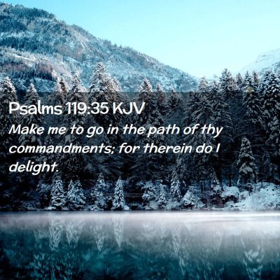 Picture 02 - Psalms 119:35 KJV - Make me to go in the path of thy commandments; - Bible Verse Picture