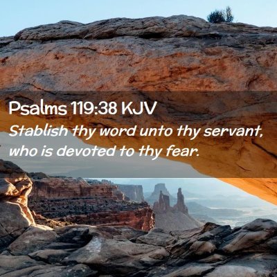 Picture 02 - Psalms 119:38 KJV - Stablish thy word unto thy servant, who is - Bible Verse Picture