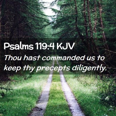 Picture 02 - Psalms 119:4 KJV - Thou hast commanded us to keep thy precepts - Bible Verse Picture